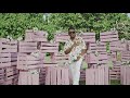 Harmonize ft Marioo - Naogopa (Official Music Video)