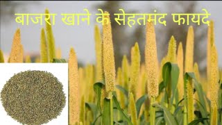 Health benefits of Bajra (pearl millet)