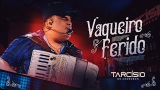 Vaqueiro Ferido - Tarcísio do Acordeon (Letra)