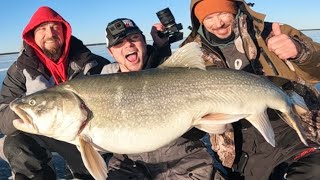 Gigantic Lake Trout on Clear Ice! (Crazy under the ice fight!) #fishing #icefishing #trout #outdoors