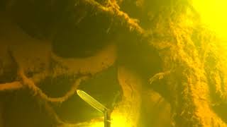 Подводная охота на реке Вихра
