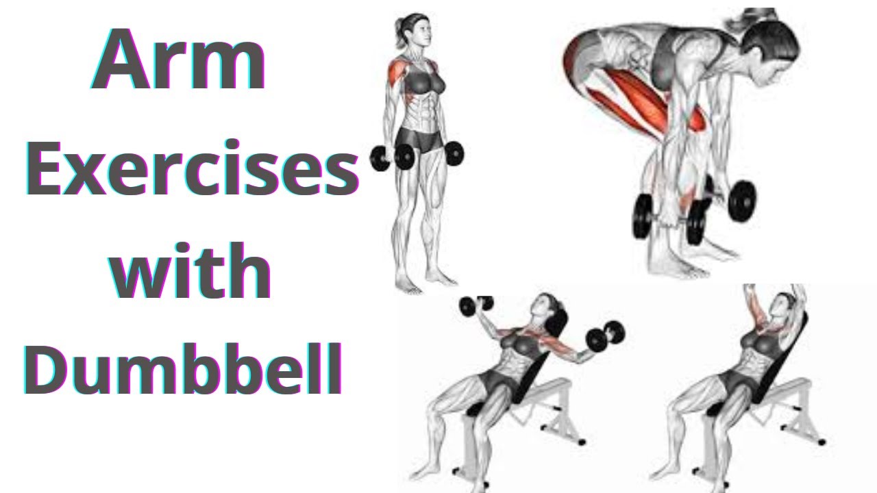Best Dumbbell Arm Exercises for Women - YouTube