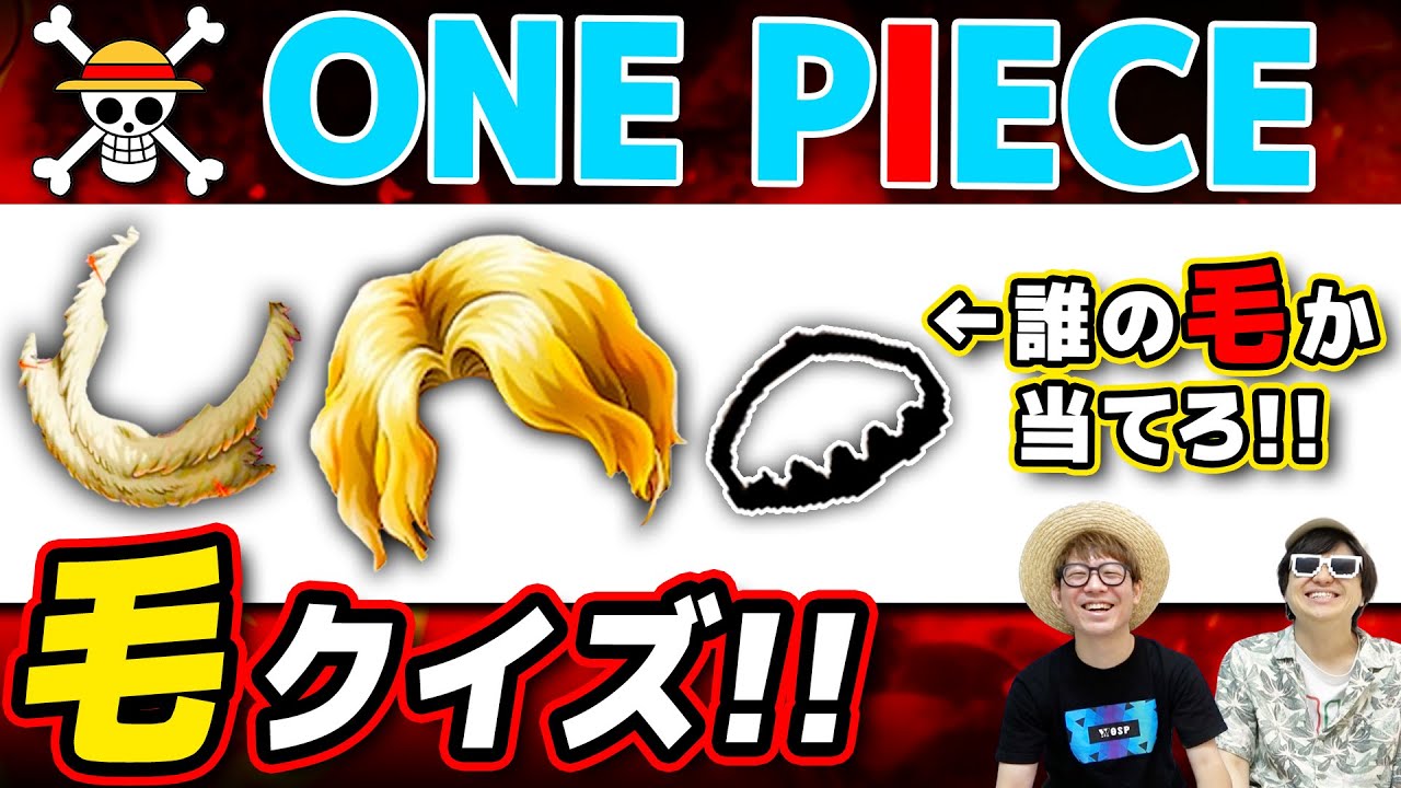 【 ワンピース クイズ 】この毛は誰の毛？オールジャンル毛クイズやってみたwww ONE PIECE