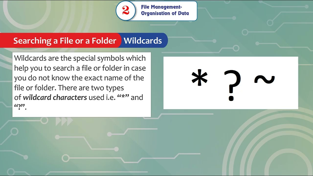 Ch 2 | Gems Educational | Computer | Class 6 | File Management - Organisation of Data | For children