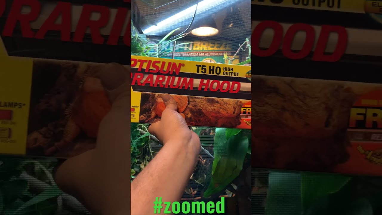 zoomed reptisun chameleon light 