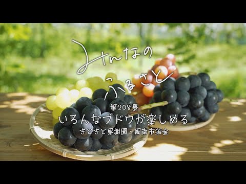みんなのふるさと VOL208 「いろんなブドウが楽しめる きときと果樹園