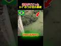 バンジーのロープのつけ忘れ事件