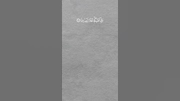 وَفِي السَّمَاءِ رِزْقُكُمْ وَمَا تُوعَدُونَ|#اسلام_صبحي|#القرآن_الكريم|#سورة_الذاريات