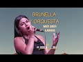 BRUNELLA Y ORQUESTA HONDA / COSTUMBRES / JUGUE TU PAPEL / ENGREIDO Y MAL AMANTE MIX EXITOS 2021