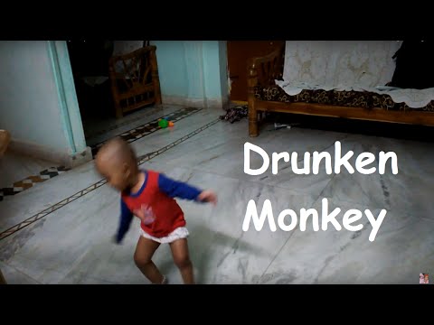 Drunken monkey
