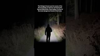 The Hürtgen Forrest Most Dangerous Forest In Germany