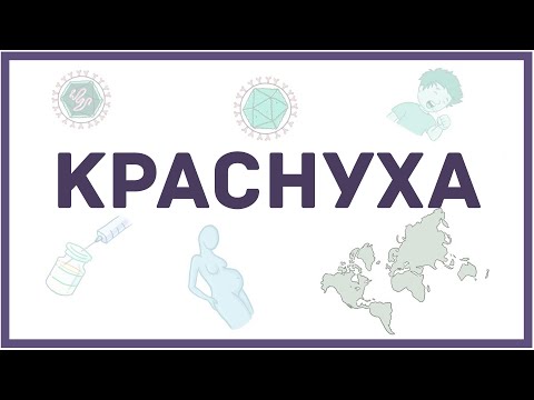 Краснуха - симптомы, диагностика, лечение, микробиология