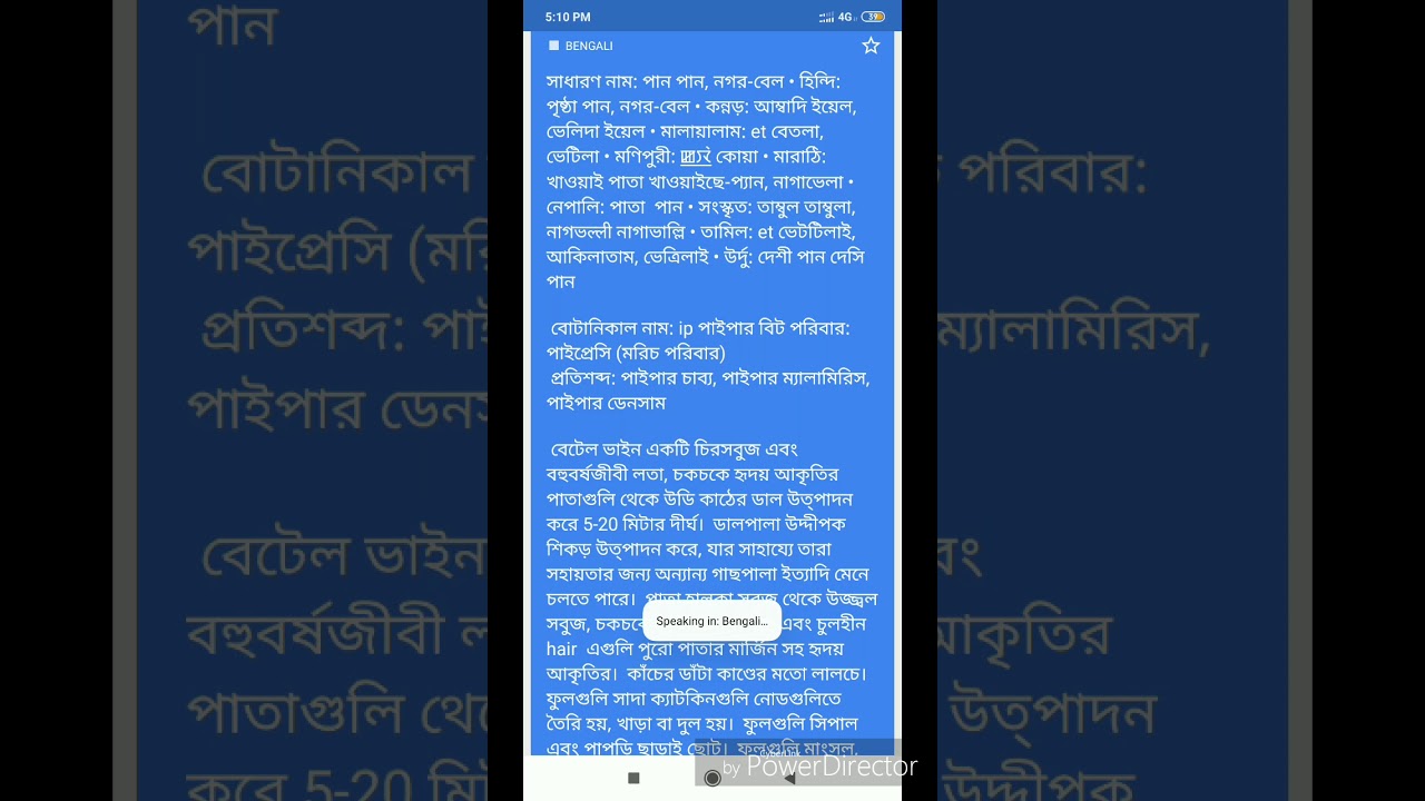 Betel Vine, Betel • Hindi:  Paan,Nagar-bel •Beetla, Ambaadi yele, Khavayache-pan, naagavaela ...