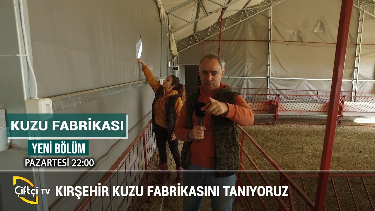 Kırşehir Kuzu Fabrikası - KUZU FABRİKASI #küçükbaş #hayvancılık #besicilik