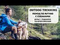 Outdog trekking | Поход по Алтаю с собаками | 3 - Радиалка на Кучерлинском