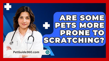 Are Some Pets More Prone To Scratching? - PetGuide360.com