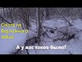 Охота на берложного зайца - а у вас такое было?