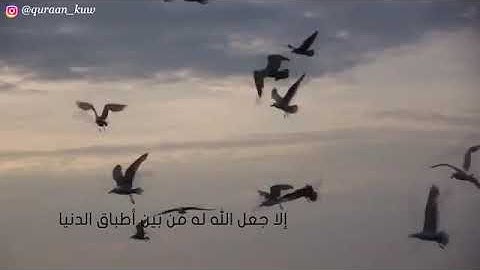 محمد الشنقيطي مادمت تقرأ الأذكار