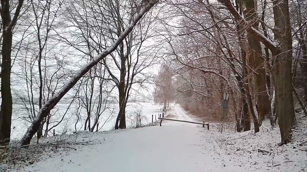 Winterträume im Schnee