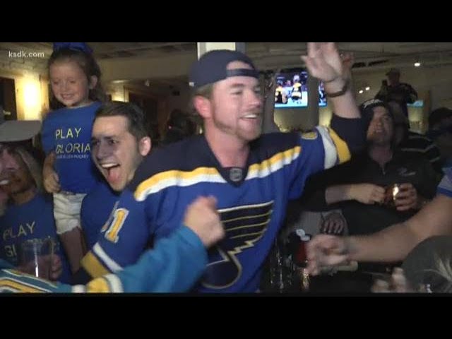 St Louis Blues Meme Funny Image Photo Joke 05