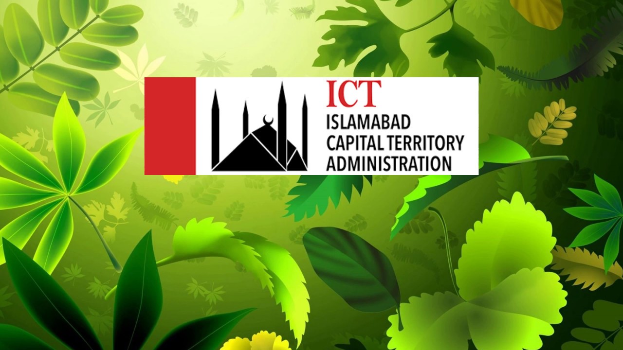 SPRING TREE PLANTATION DRIVE 