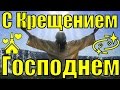 Крещение Господне 2019 поздравление с Крещением поздравления видео