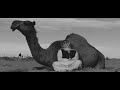الى متى والصدر ضايق الى متى والصدر ضايق
