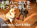 ラブラドール|ぐりとニコ | 犬用ハーネスをDIYで作ってみた