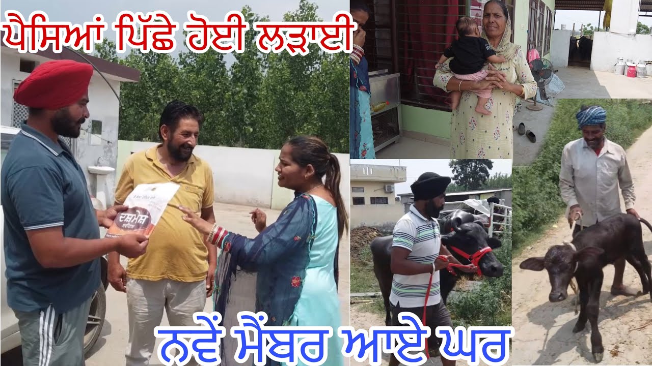 ਸਾਰੇ ਹੋਏ ਖੁਸ਼ ਨਵੇਂ ਮੈਂਬਰਾਂ ਦੇ ਆਉਣ ਨਾਲ,ਲੱਗ ਗਈ ਸੱਟ @jasminmahalvlogs7754