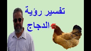تفسير الدجاج للعزباء والمتزوجة والرجل في المنام/ اسماعيل الجعبيري