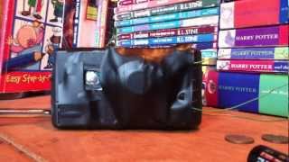 Disposable camera taser/stun gun