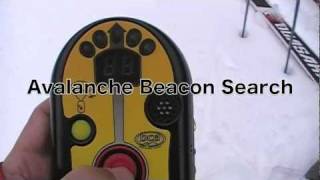 Avalanche Beacon Search