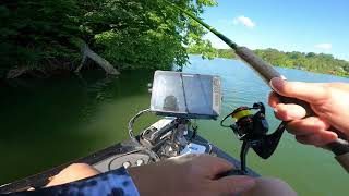 Douglas Crappie on Laydowns