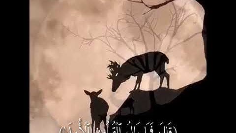 اجمل تلاوات القران بصوت القارئ رعد محمد الكردي🌿