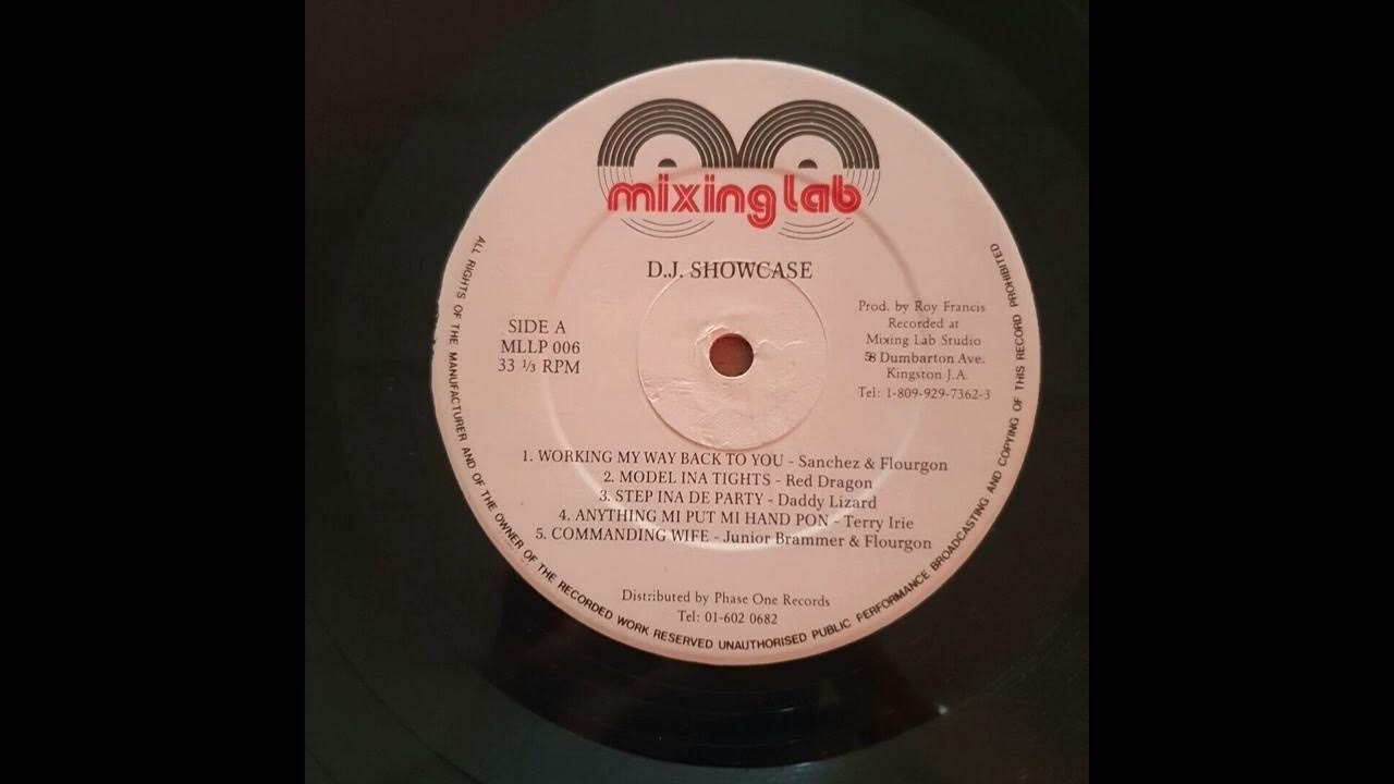 Terry Irie - Anything Mi Put Mi Hand Pon (Mixing Lab LP 1989) - YouTube