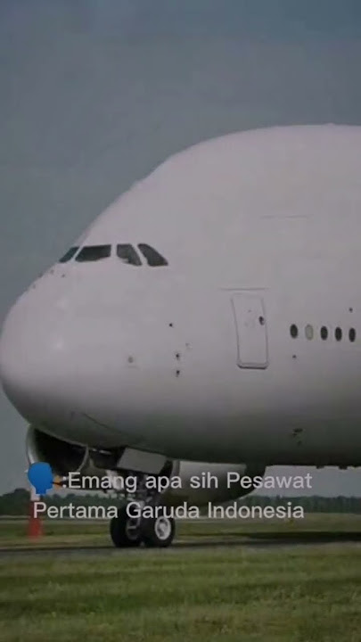 Pesawat Pertama Garuda Indonesia b737?