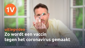 Zo wordt een vaccin tegen het coronavirus gemaakt