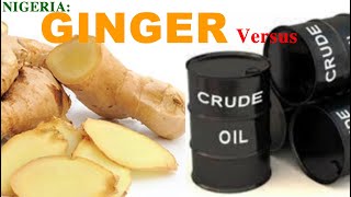 IS GINGER MORE LUCRATIVE THAN CRUDE OIL FOR NIGERIA? The National Ginger Association Says Yes!