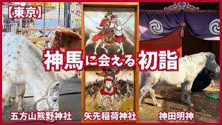 【2026初詣はここだ】馬に会える神社3選