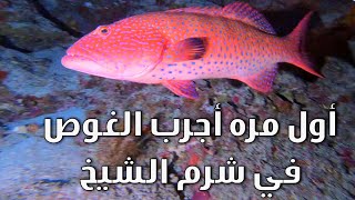 ردة الفعل من أول تجربة غوص في شرم الشيخ || The First Diving Experience In Sharm El Sheikh