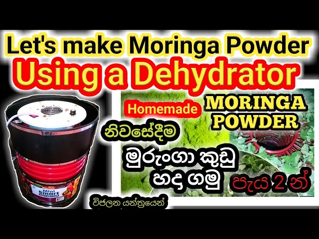 How to make moringa leaves(drumstick)powder using a dehydrator