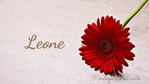 Cosa attira una donna Leone?