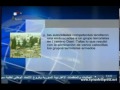 09_04_2013 ~ Noticias de Siria (ESP) ~ Boletín del 09 de Abril 2013