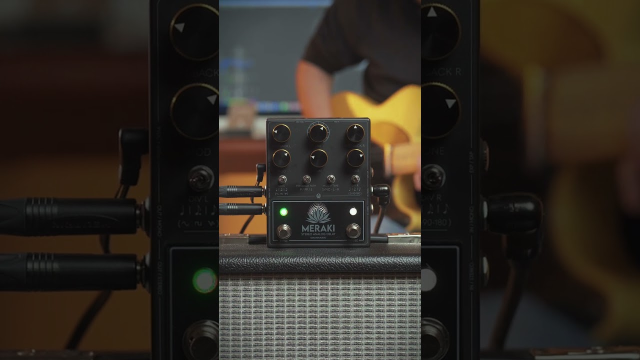 Let's listen to the Walrus Audio Meraki Stereo Analog Delay #shorts #walrusaudio