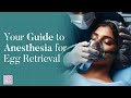 Your Guide to Anesthesia for Egg Retrieval