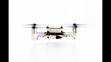 Milestone 1 - WASP Autonomous Systems I