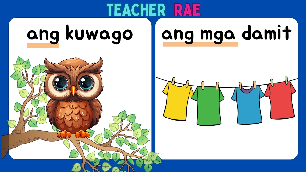 Paggamit ng Ang o Ang Mga || kindergarten || Grade 1