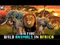 अफ़्रीका में पाँच बड़े जंगली जानवर | Big Five  Wild Animals in Africa | World Documentary HD