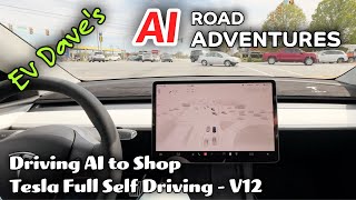 Driving AI to Shop - Tesla Full Self Driving V12