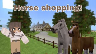 Getting a New Horse! | Try Horses With Me | Minecraft Equestrian